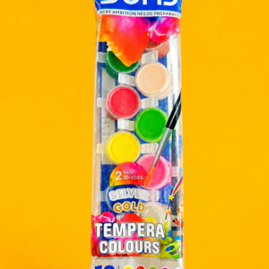 Doms Colour Paint Set (12 Shades)